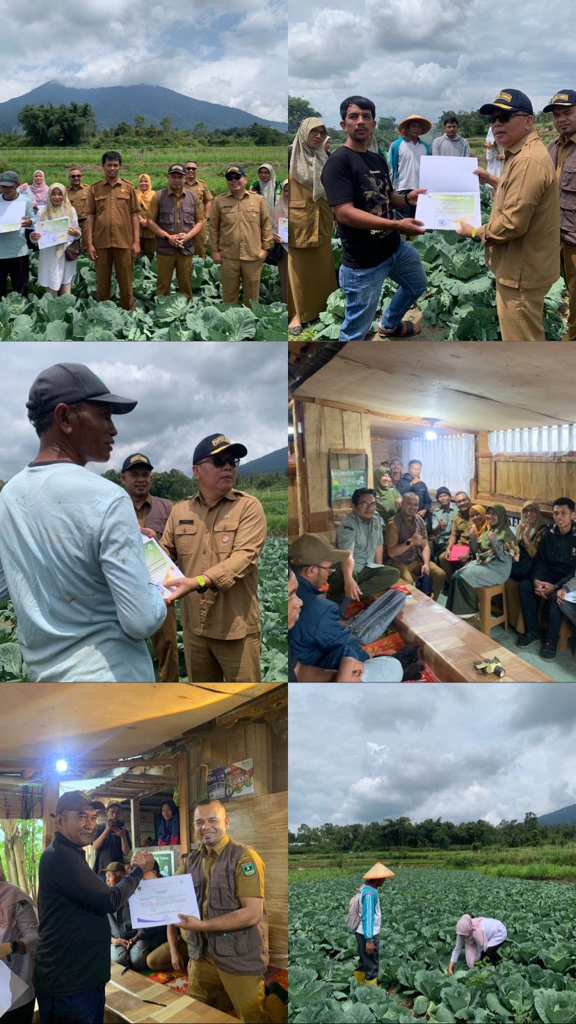 DINAS PANGAN PROVINSI SUMATERA BARAT MELAKSANAKAN PENYERAHAN SERTIFIKAT PRIMA 3 (P-3) KEPADA PELAKU USAHA BUAH DAN SAYUR