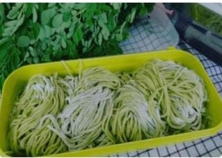 Mie Daun Kelor