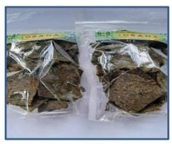 Dendeng pucuk ubi