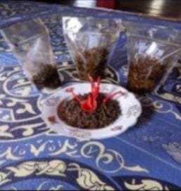 Rendang Pakis